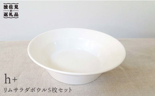 
【波佐見焼】h+ リム サラダ ボウル 5枚セット 食器 皿 【堀江陶器】 [JD22]
