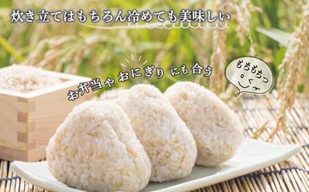 玄米(特別栽培農産物)元気つくし 5kg×2袋 (計10kg)