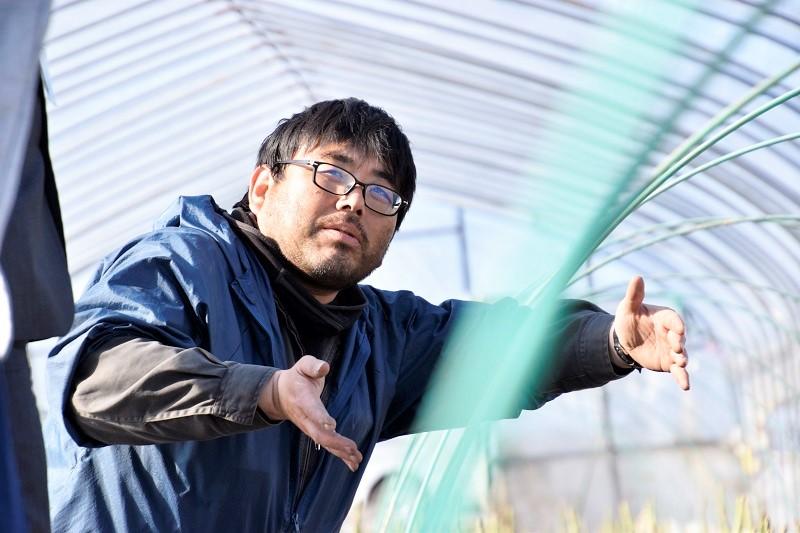 北海道産「春一番！グリーンアスパラガス」L～2Lサイズ以上700g