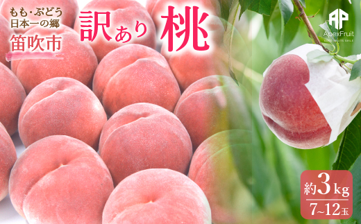 ＜25年発送先行予約＞ 笛吹市産　訳あり桃 約3kg（7〜12玉） 205-003