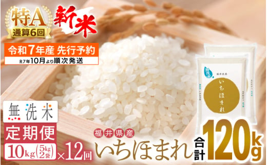 【新米・先行予約】令和7年産 無洗米 定期便 12回 いちほまれ 10kg × 12回（計120kg）特A通算6回！福井県産【お米 コメ kome 12ヶ月連続 計120キロ 精米 白米 便利 時短】【令和7年10月より順次発送予定】 [e27-o007]