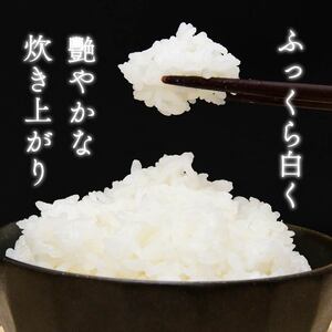 きぬむすめ 4kg 2kg × 2袋 令和7年 新米 するがの極 米 コメ こめ ラブライブ 長泉