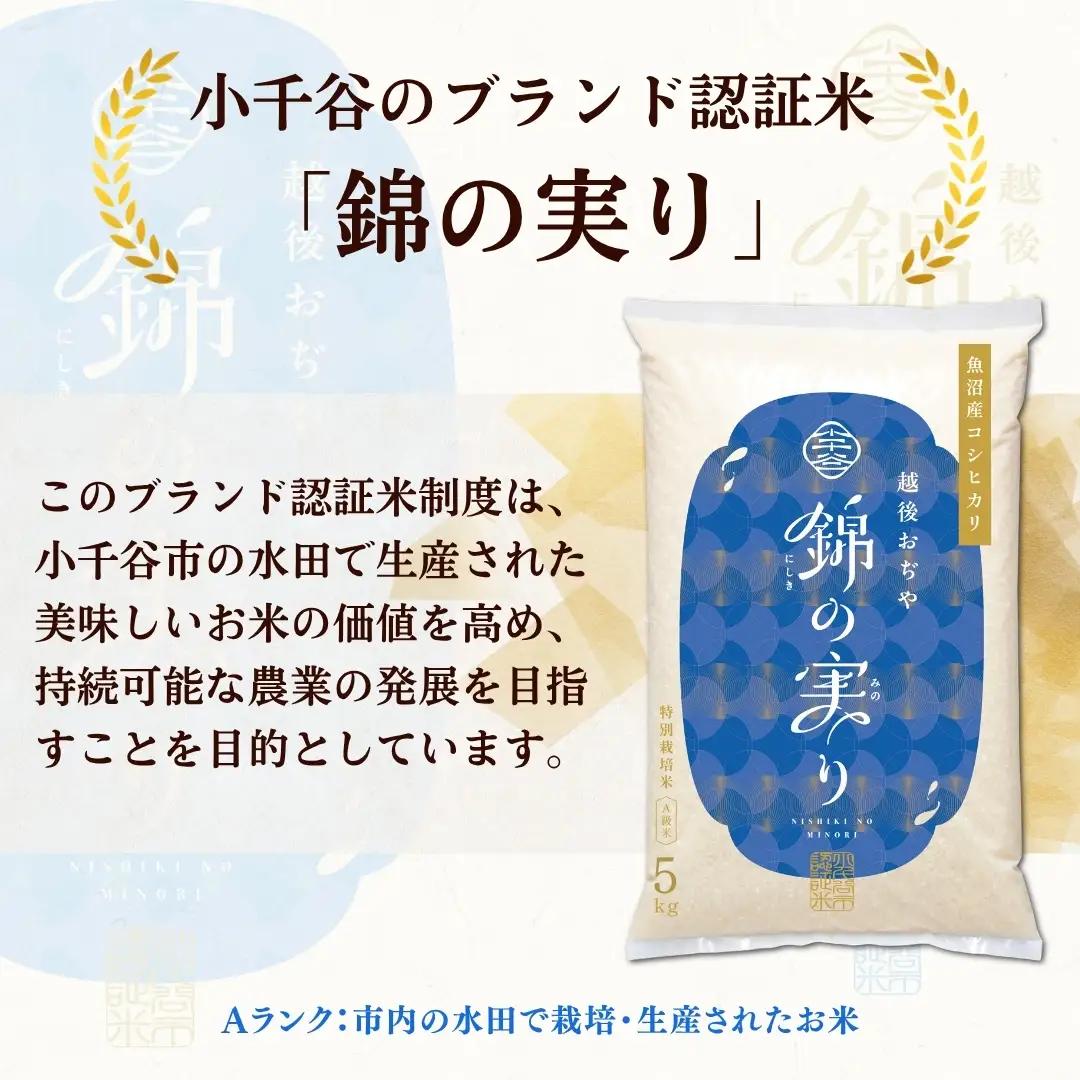 魚沼産コシヒカリ 錦の実り Aランク 80kg |10kg×8回 定期便 新潟県 小千谷市 ブランド認証 令和8年 新米予約