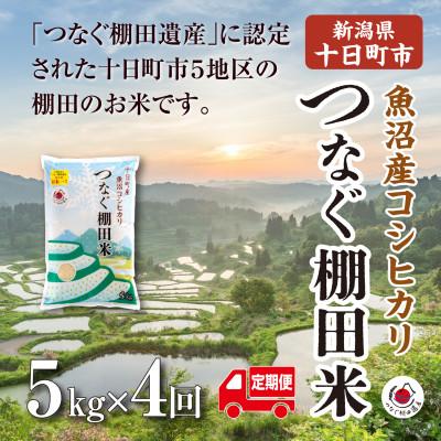 ふるさと納税 十日町市 【毎月定期便】新潟県十日町市魚沼産コシヒカリ「つなぐ棚田米」精米5kg全4回