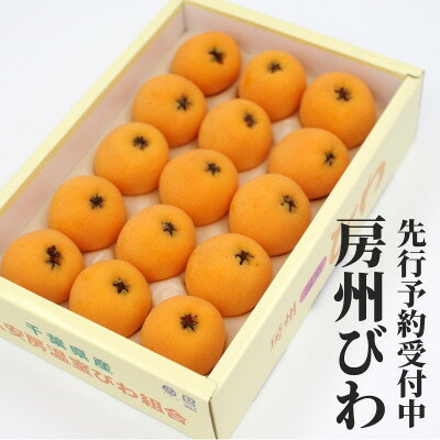 【ふるさと納税】【先行予約】4月下旬より順次発送　温室栽培「房州びわ」 L・2Lサイズ　化粧箱入り【配送不可地域：離島・沖縄県】【1488004】