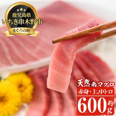 ふるさと納税 いちき串木野市 天然南マグロ堪能セット 上トロ、中トロ、赤身　計約600g