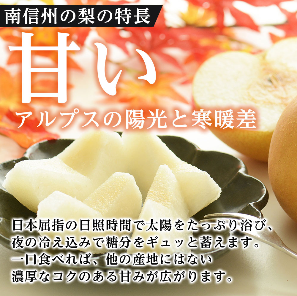 【長野県産】果汁たっぷりで甘～い梨（南水）約5kg 秀品 ＜2026年9月中旬から発送＞ 信州 南信州 高森町 産地直送 果物 くだもの なし ナシ 和梨 旬 旬の果物 旬の梨 なんすい 山下屋荘介