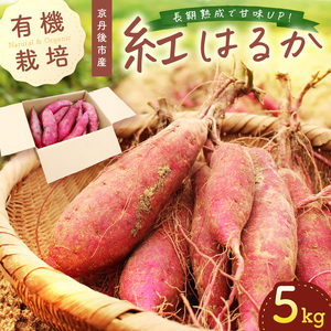 ＜てんとうむしばたけ＞有機さつまいも(紅はるか)5kg