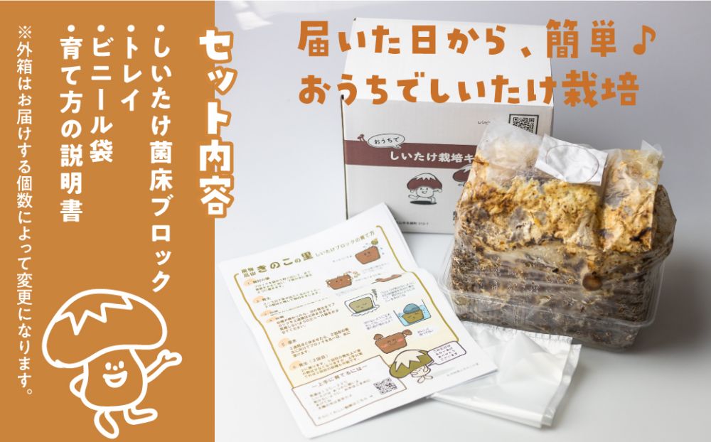 【2024年10月～発送】 菌床椎茸栽培キット 2個セット | しいたけ シイタケ 椎茸 栽培キット 栽培 菌床 しいたけ菌 椎茸菌 夏休み 自由研究 飛騨高山きのこの里 a691