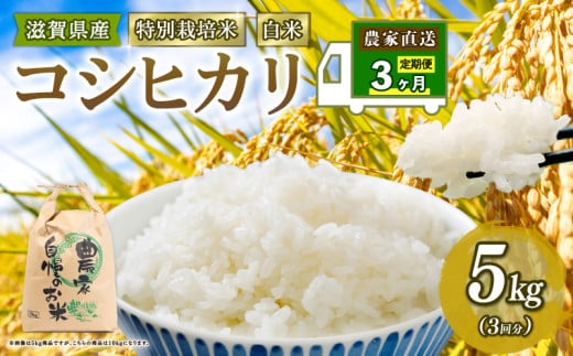新米予約 特別栽培米 こしひかり 令和7年産 米 5kg 白米 定期便 3ヶ月 計 15kg コシヒカリ 2025年産 国産 農家直送 コシヒカリ 5kg × 3回 国産 農家直送 環境こだわり お試し用 お米 こめ おこめ 農家直送 産地直送 送料無料