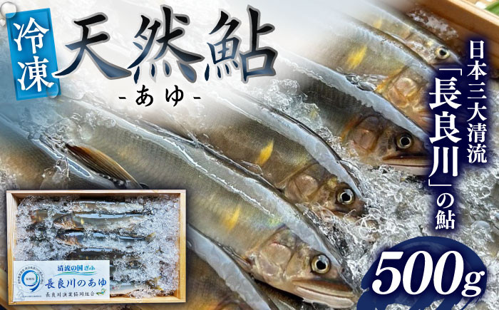 
            【世界農業遺産】清流長良川 天然鮎(冷凍) 500g 8月～9月申込 産地直送 新鮮 あゆ 岐阜市/SONAMU [ANEX001]
          