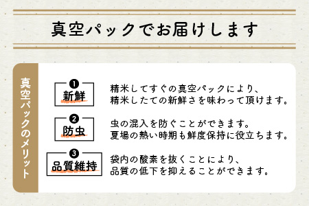 【令和7年産】特別栽培米 コシヒカリ匠 8kg (2kg × 4袋)（玄米） 栽培期間中農薬不使用 / コシヒカリ こしひかり 白米 お米 [D-2938_02]