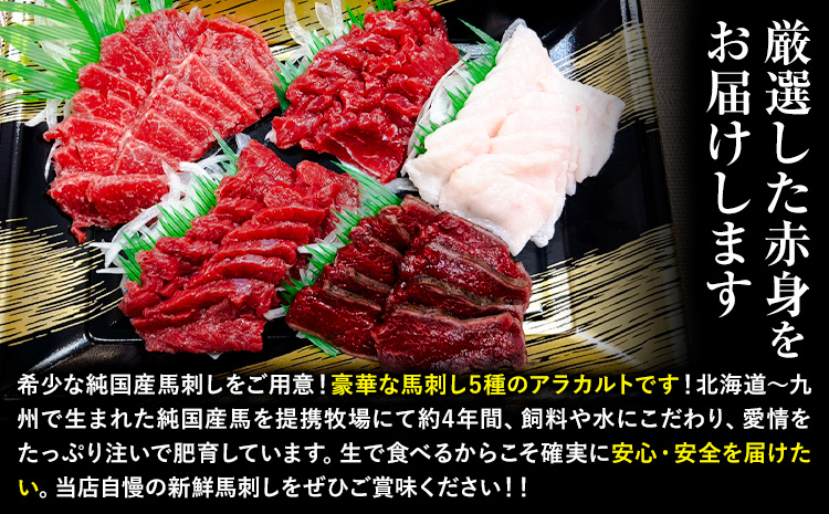 馬刺し 純国産 ウマウマ アラカルト Bセット（たてがみ） 専用醤油付き 50g ×5種 計250g 有限会社九州食肉産業《30日以内に出荷予定(土日祝除く)》熊本県 産山村 純国産 馬刺し 国産 熊