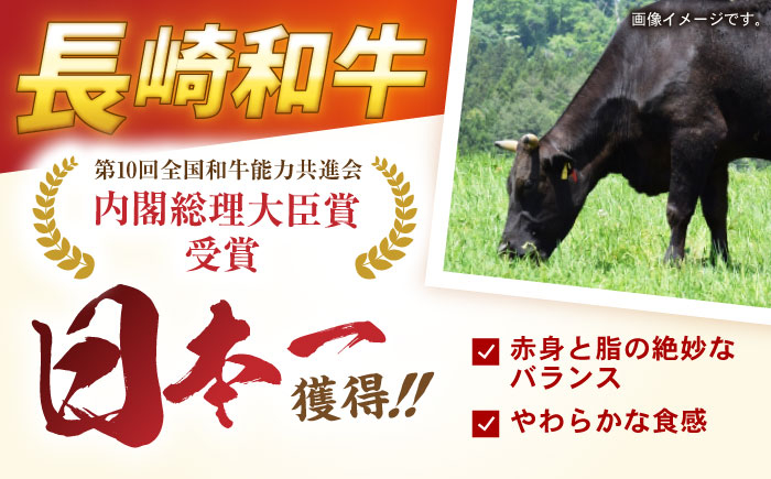 和牛 長崎和牛 ハンバーグ はんばーぐ 小分け