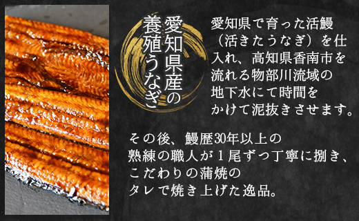 【２回定期便】国産養殖うなぎ蒲焼き 約200g×2尾(愛知県産鰻) Wfb-0073