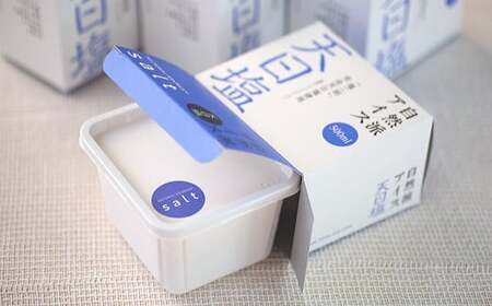自然派アイス 天日塩500ml セット 4個 2000ml ≪松崎冷菓≫