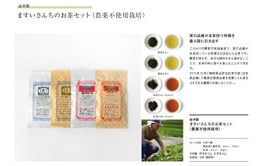 
11-17 お茶 紅茶 静岡 セット / ますいさんちのお茶（4個セット）
