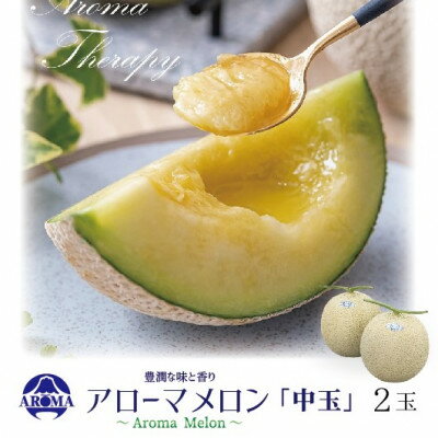 【ふるさと納税】【通年出荷】アローマメロン 白等級(中玉) 2玉入【配送不可地域：離島・北海道・沖縄県】【1170109】