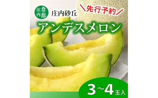 【2026年産 先行予約】食の都庄内　プロの技！庄内砂丘アンデスメロン　※2026年7月上旬頃より発送開始予定