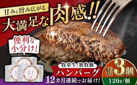 【全12回定期便】　【牧草牛×放牧豚】ハンバーグ 3個 牛肉 豚肉 小分け 冷凍 北海道 [AXBP025]