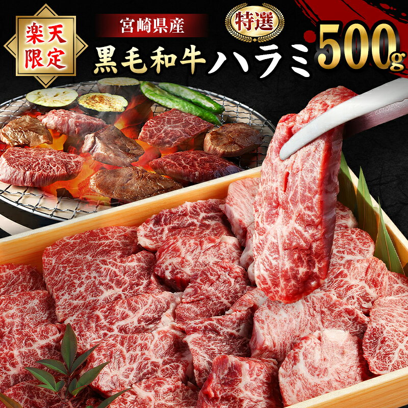 【ふるさと納税】《楽天限定》＼あの！人気の返礼品が復活！／ ハラミ 数量限定 黒毛和牛 500g 肉 牛ハラミ 牛 人気 特選 牛ハラミ 希少 部位 焼肉 BBQ 国産 冷凍 人気 おすすめ 和牛 特産品 プレゼント お取り寄せ グルメ 送料無料