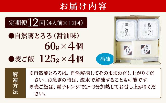 ＜定期便・全12回＞味付け不要！本格自然薯麦とろセット（4人前）|自然薯 じねんじょ とろろ 山芋 やまいも 長芋 ながいも ご飯のお供 山葵 ワサビ おつまみ 酒の肴 山かけ 麦とろ そば うどん 