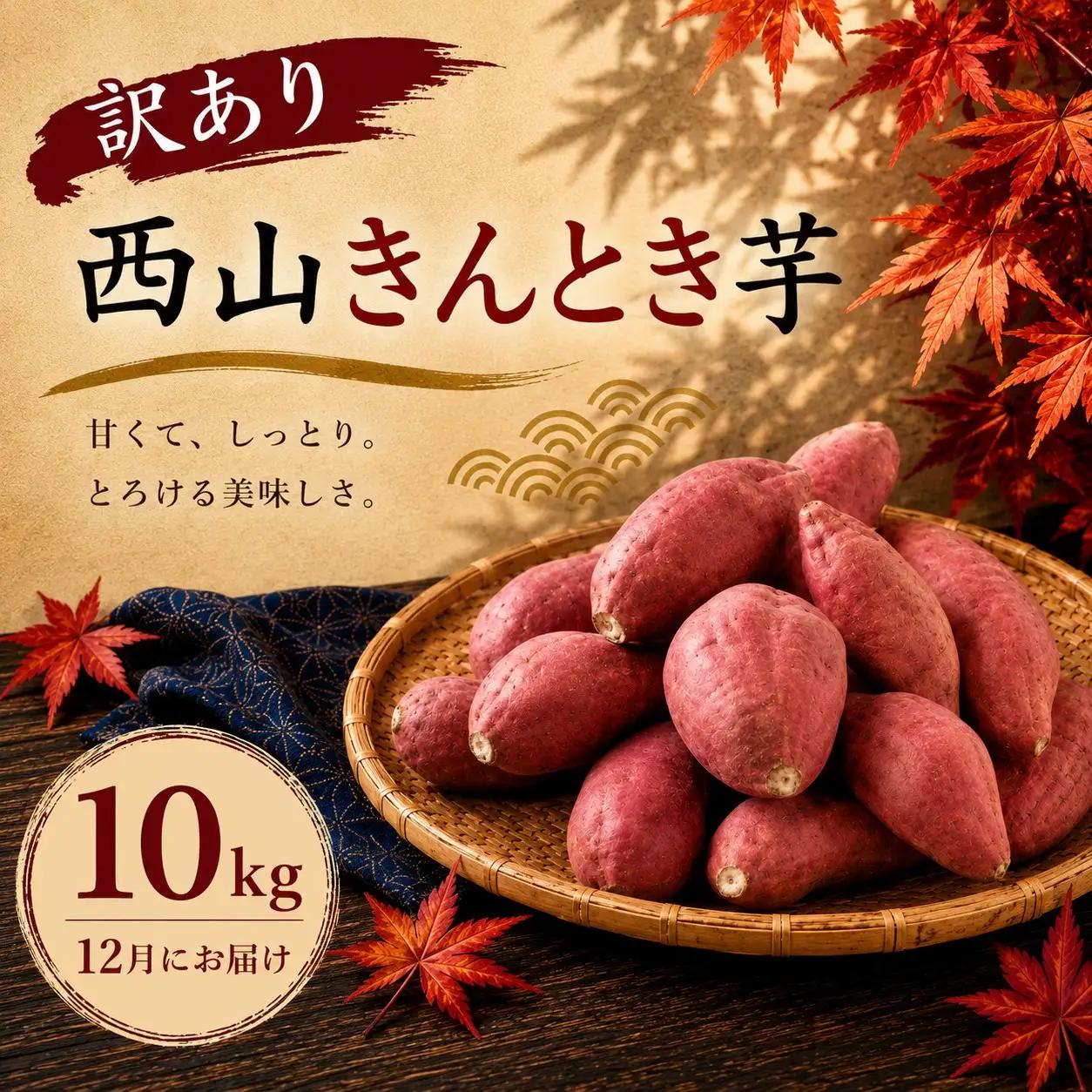 【令和８年１２月お届け】西山きんとき芋 10kg | 訳あり 新芋 さつまいも サツマイモ さつま芋 焼き芋 やきいも ヤキイモ 人気 野菜 不揃い 規格外 おやつ デザート秋 旬 生芋 ご家庭用 10000円 高知県 室戸市
