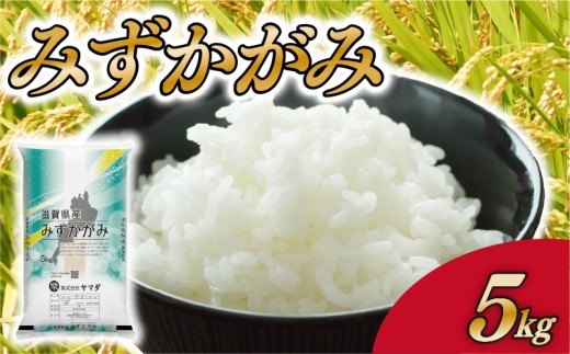 みずかがみ 5kg 白米