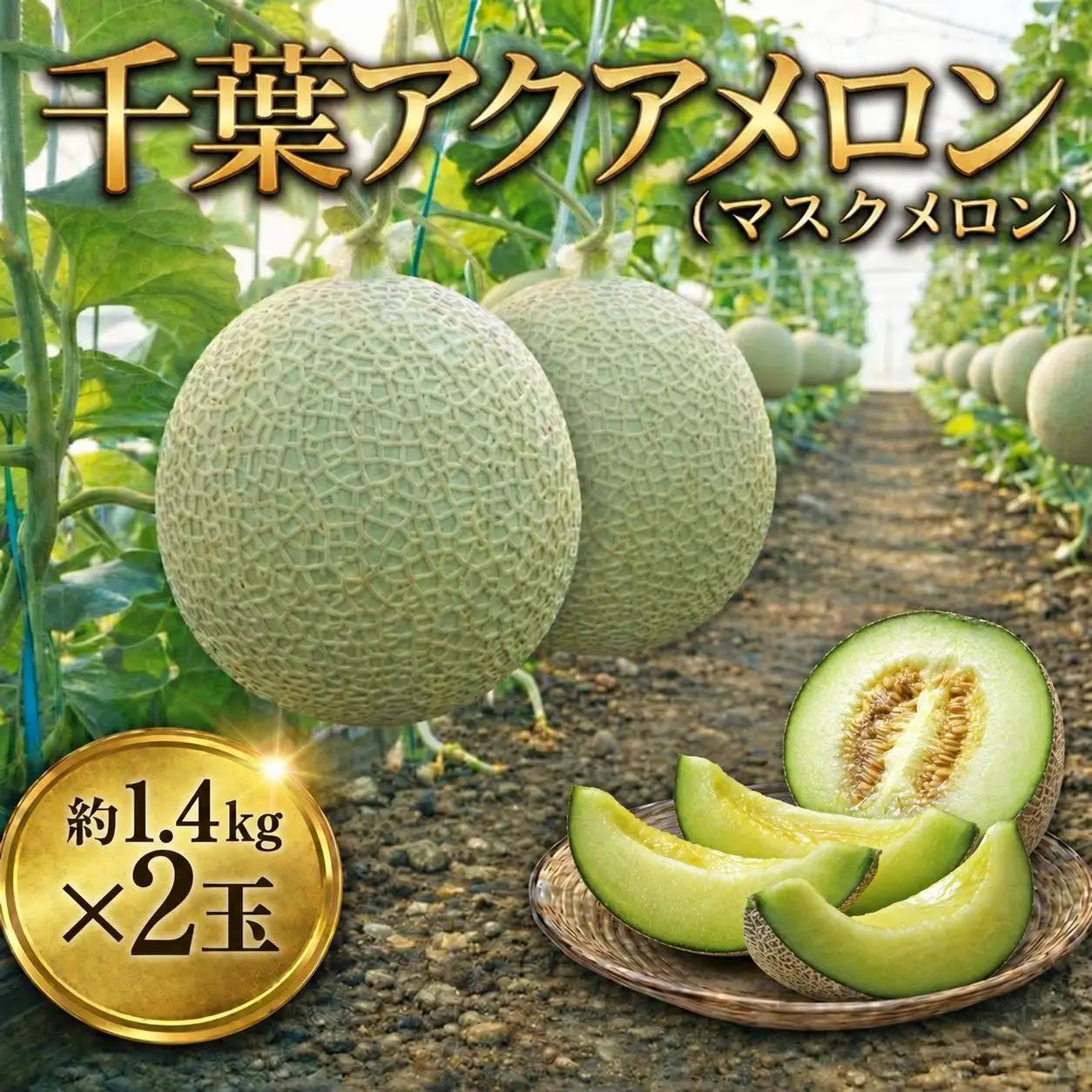 【約1.4kg×2玉】千葉アクアメロン（マスクメロン）大玉