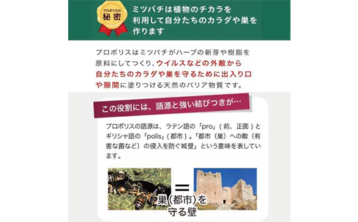 【毎月定期便】プロポリス粒 (486)全12回【4008980】