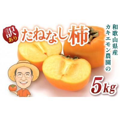 ふるさと納税 かつらぎ町 【訳あり・ご家庭用】たねなし柿 約5kg カキエモン農園