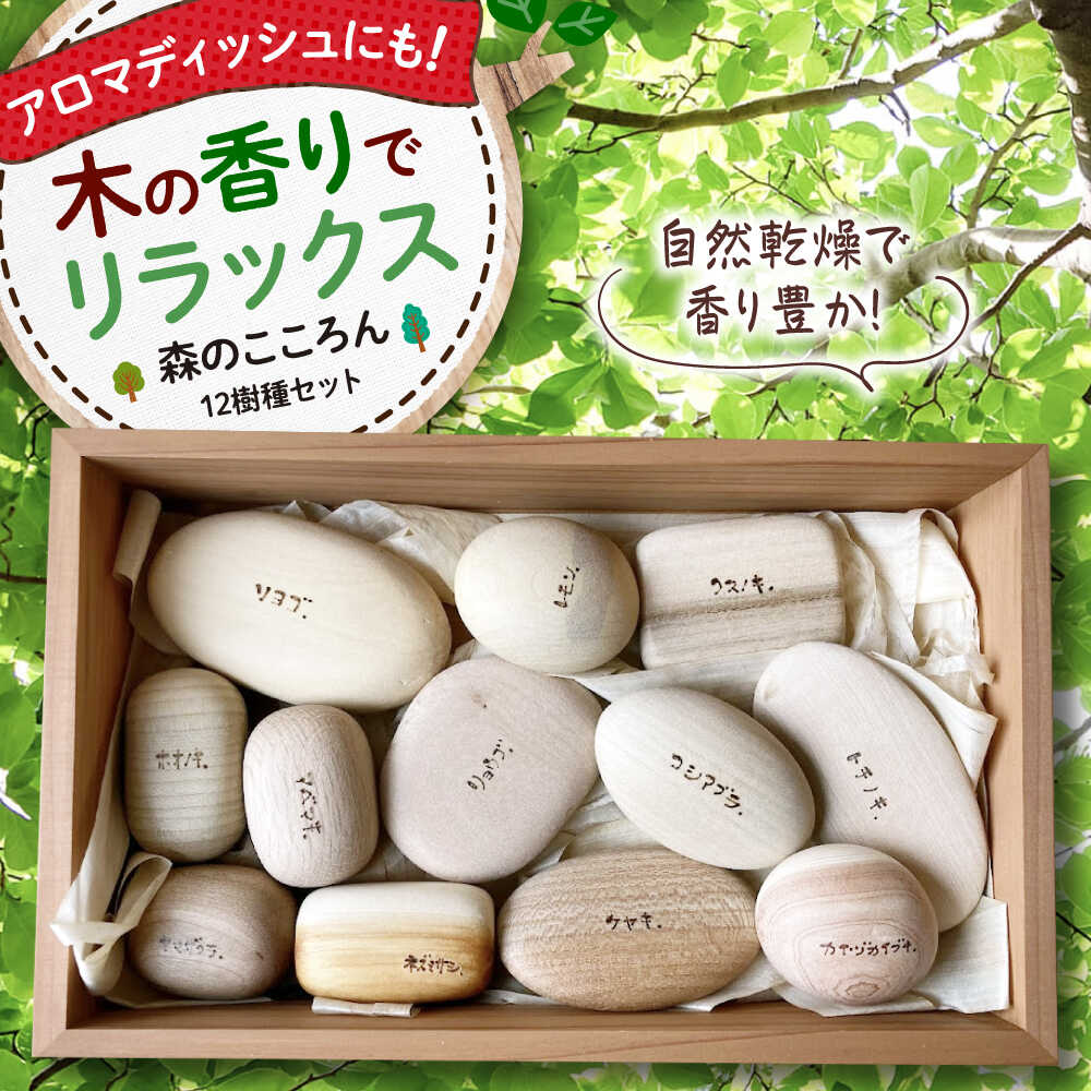 【ふるさと納税】 おもちゃ 森のこころん12樹種セット 木製 知育 玩具 つみき ごっこ遊び 子供 日本製 出産祝い 誕生日 プレゼント ギフト オモチャ 積木 積み木 男の子 女の子 おしゃれ かわいい 木のおもちゃ プレゼント 三次市/一場木工所[APAL015]