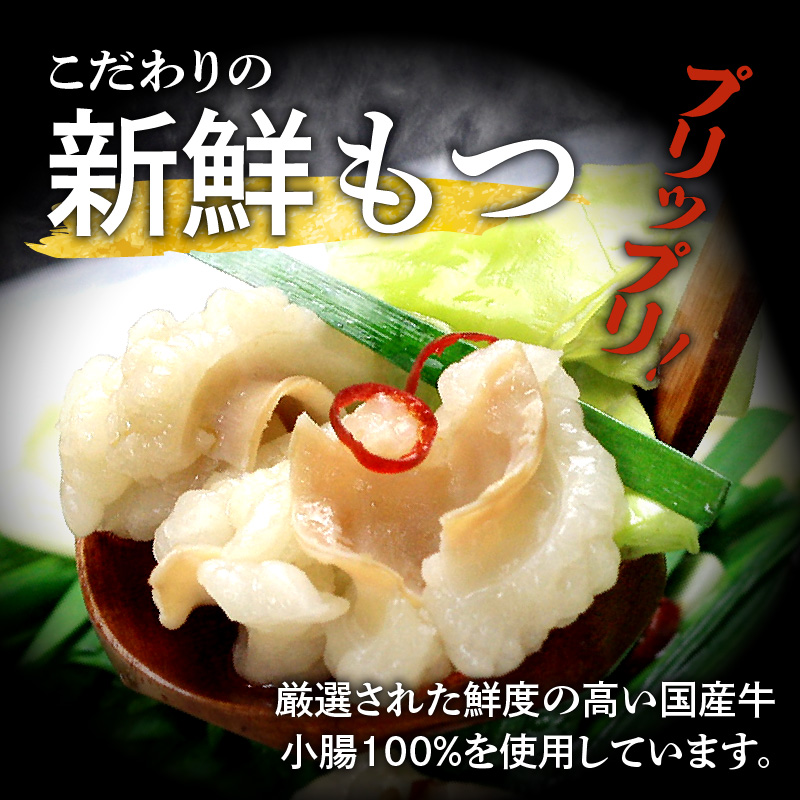 博多明太醤油もつ鍋セット(2～3人前) KBC0506