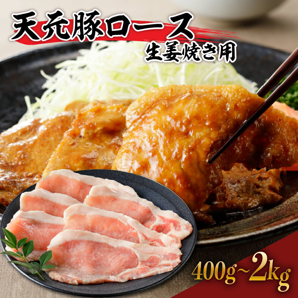 【ふるさと納税】天元豚 ロース 生姜焼き用 400g ~ 2kg （ 200g × 2~10パック ）肉 豚ロース 豚肉 ブランド豚 ポーク おかず お取り寄せ 送料無料 山形県 米沢市