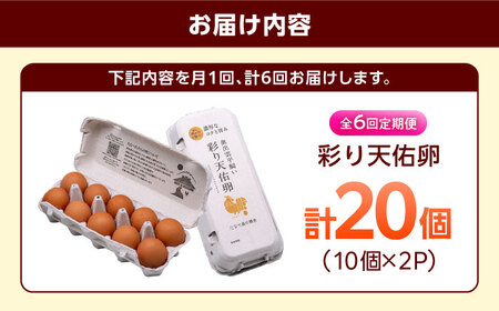 6回 定期便 彩り天佑卵 20個入り [AIDL013] 卵
