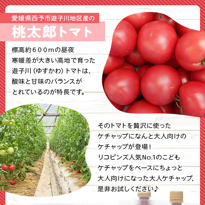 ＜ちょっぴりピリ辛で大人も満足！大人ケチャップ 4個セット＞ とまと 野菜 完熟 柚子胡椒 こしょう 調味料 辛口 パスタソース チリソース ギフト 贈り物 国産 特産品 遊子川ザ・リコピンズ 愛媛県