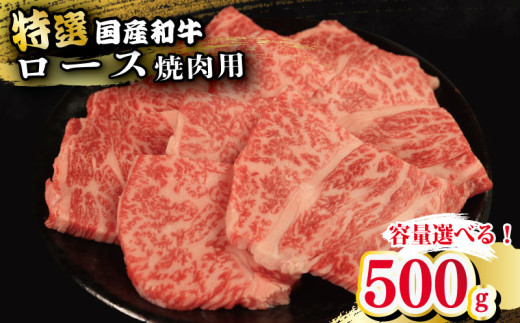 牛肉 特選 ロース 焼肉用 500g えらべる容量 焼肉 国産和牛 和牛 焼き肉 赤身 にく ぎゅう うし バーベキュー BBQ やきにく お祝い イベント パーティー おかず おつまみ 贈答 プレゼント 徳島県 吉野川市