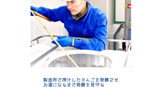 紫波サイダリー 12本 飲み比べセット ハードサイダー シードル プレミアム 岩手のりんご りんごのお酒 いわてワイン 岩手県 ふるさと納税 女子会 (AY004)