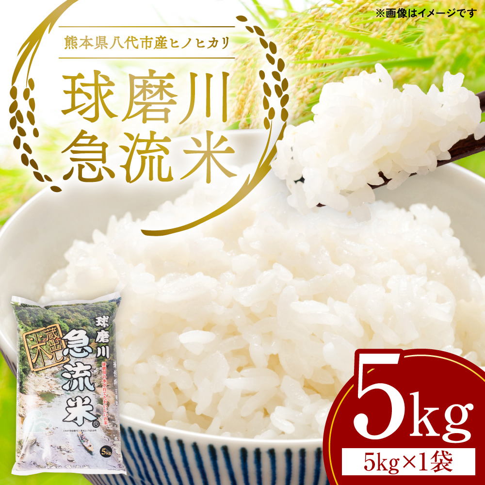 《令和7年産》熊本県八代市産 球磨川急流米 ヒノヒカリ 5kg 国産 白米 精米 お米 コメ 米 ライス ご飯 ごはん 白飯
