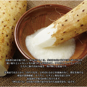 1112.砂丘ながいも1kg