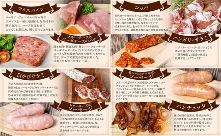 【ふるなびWEEK対象】ソーセージ 詰め合わせ バロック シャルキュトリー 8種 セット ウィンナー ウインナー 白カビサラミ 白カビ サラミ パテ ハム ギフト 肉 お肉 豚肉 豚 愛知県 日進市