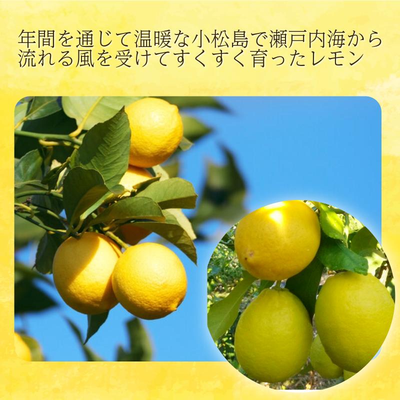 【2026年12月発送】レモン 2kg 秀品  国産 レモン 檸檬 れもん ワックス不使用 防腐剤不使用 柑橘 果汁 フルーツ 果実 徳島 小松島市