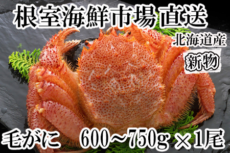 ボイル毛がに600～750g×1尾 C-14033