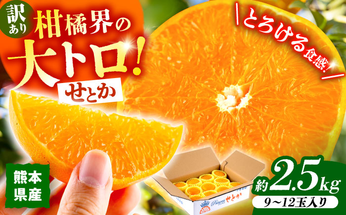 【2026年2月下旬から発送】【訳あり】せとか みかん 家庭用 約2.5kg 果物 フルーツ 【小春農園】 [ZBN007]