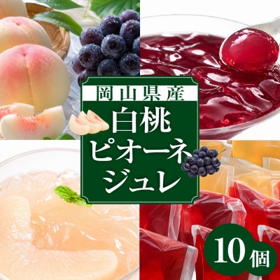 
                  ＜2026年8月より順次発送＞そのままフルーツまほらジュレ(ピオーネ5個・白桃5個)_フルーツジュレ 岡山産果実 飲むシロップ 詰め合わせ ゼリー ジュレ フルーツ 果物 ピオーネ 白桃 桃 贈り物 岡山県 津山市 ギフト プレゼント 送料無料【1598034】
                