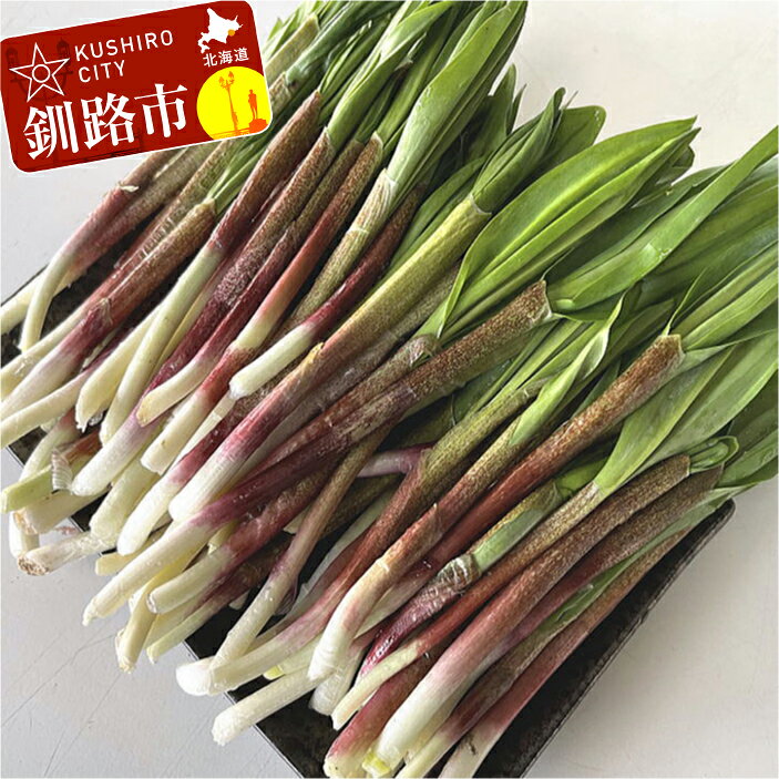 【ふるさと納税】釧路産・天然 鮮度そのまま行者にんにく 100g×2 北海道 釧路 ふるさと納税 行者ニンニク 野菜 山菜