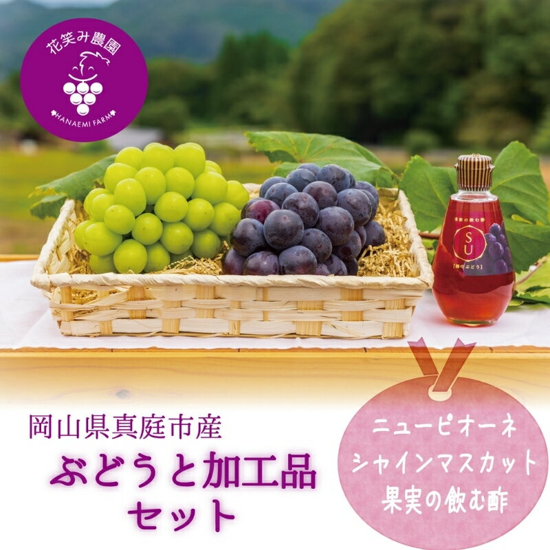 【ふるさと納税】 岡山 花笑み農園の『ピオーネ&シャインマスカット&飲む酢ピオーネ』ブドウと加工品セット PS-N hana10-2【 2025年9月下旬～順次発送予定】【配送不可地域：離島】 岡山 真庭 ピオーネ シャインマスカット 果物 贈答用 酢 飲む ビネガードリンク【1491571】