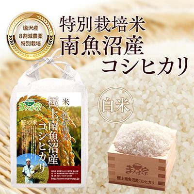 ふるさと納税 南魚沼市 【毎月定期便】特別栽培米「南魚沼産コシヒカリ」白米10kg 全3回