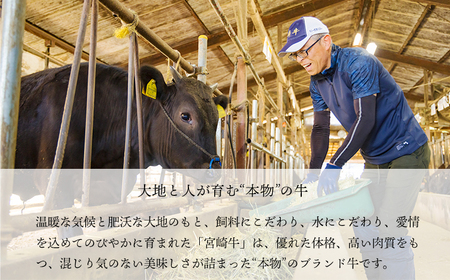 宮崎牛うで肉スライス450g すき焼きしゃぶしゃぶ用（2～3人前） 内閣総理大臣賞4大会連続受賞のお肉 ブランド牛 黒毛和牛 大人気のヘルシーな牛肉 [和牛 国産 黒毛和牛] TF0902-P0002