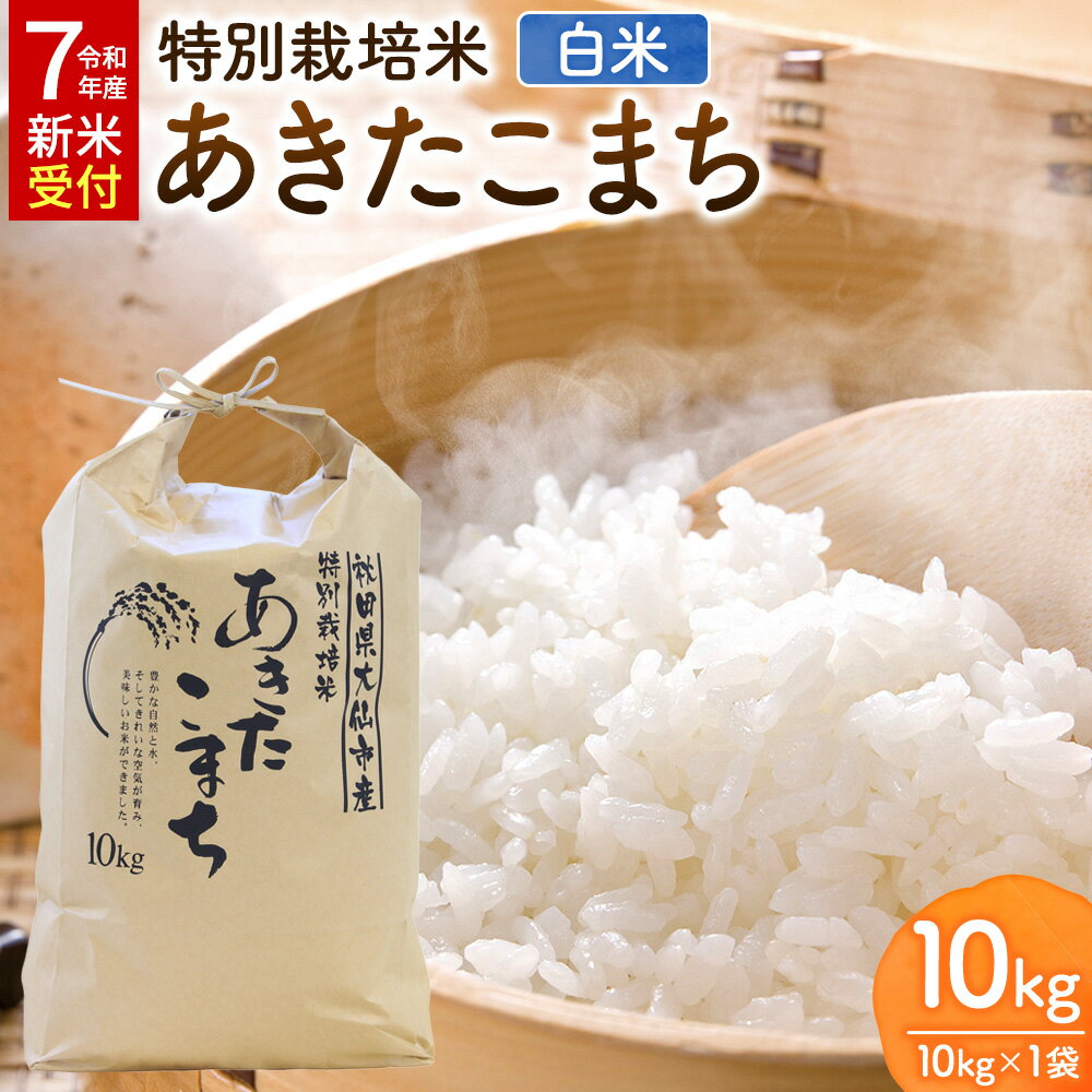 【ふるさと納税】米《令和7年産 新米受付》特別栽培米 あきたこまち【精白米】10kg×1袋 ローズメイ 秋田県 大仙市産